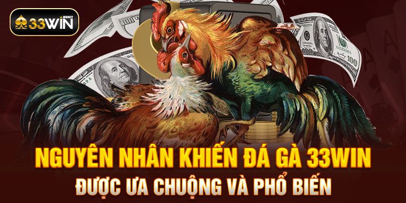 Nguyên nhân khiến đá gà 33WIN được ưa chuộng và phổ biến 