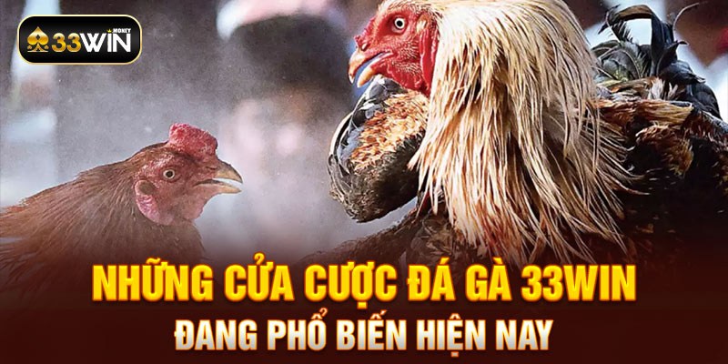 Những cửa cược đá gà 33WIN đang phổ biến hiện nay   