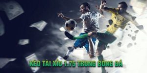 Tài xỉu 1.75 thường bắt gặp trong trận bóng đá