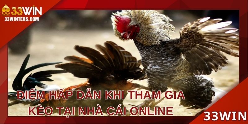 ƯU điểm vượt trội của sảnh đá gà