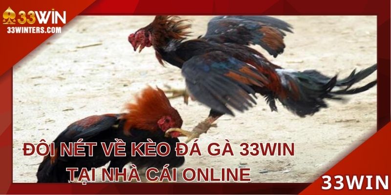 Đôi nét về kèo đá gà 33WIN