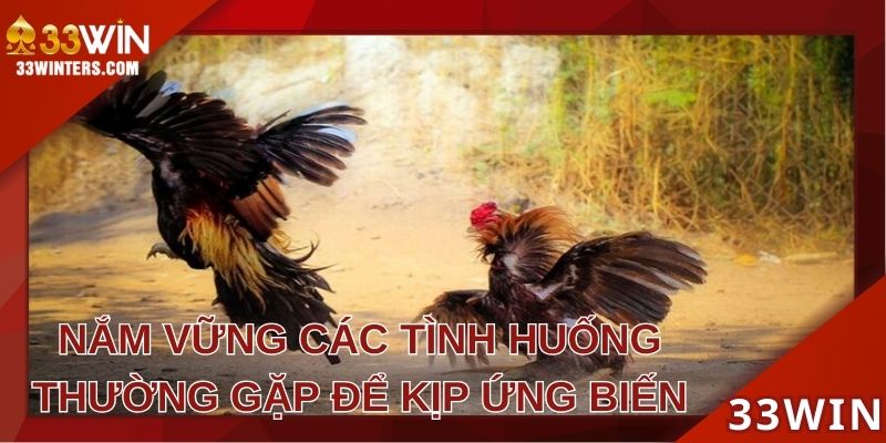Nắm vững các tình huống thường gặp để kịp ứng biếnNắm vững các tình huống thường gặp để kịp ứng biến